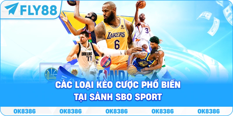 SBO Sport Fly88 – Sảnh Cá Cược Thể Thao Đẳng Cấp Châu Á - Winqube88