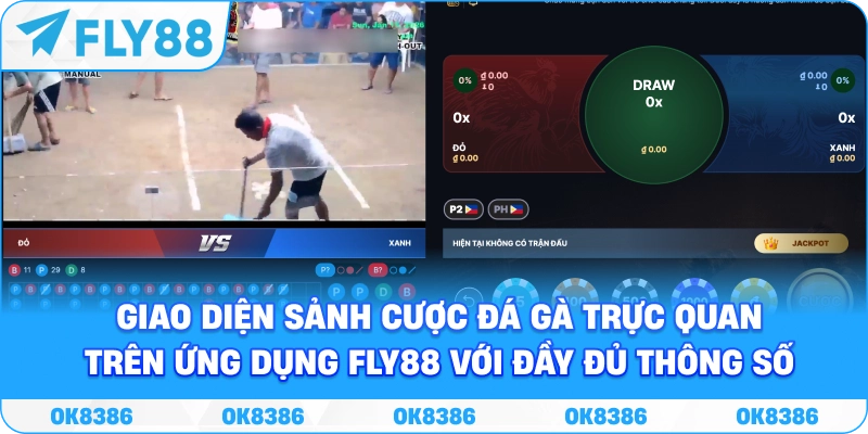 Đá Gà FLY88 – Sảnh Cược Trực Tuyến 2026 - Winqube88 Đá Gà FLY88 – Sảnh Cược Trực Tuyến 2026 - Winqube88
