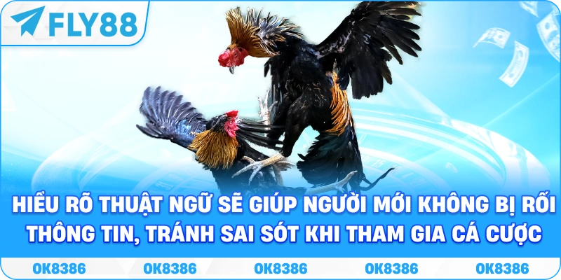 Thuật ngữ đá gà – Giải thích chi tiết, hiểu rõ mọi khái niệm - Winqube88