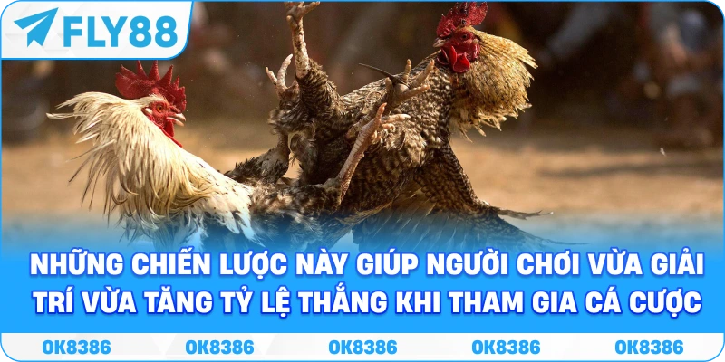 Thuật ngữ đá gà – Giải thích chi tiết, hiểu rõ mọi khái niệm - Winqube88