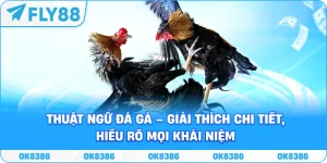 Fly88 - Trang Chủ FLY88.COM Đăng Ký, Đăng Nhập Chính Thức 2026 - Winqube88