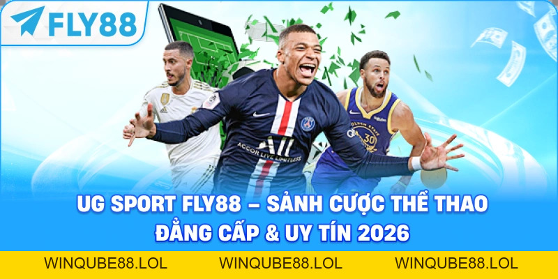 SBO Sport Fly88 – Sảnh Cá Cược Thể Thao Đẳng Cấp Châu Á - Winqube88