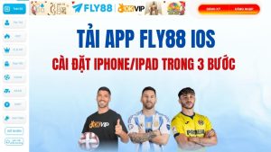 Fly88 - Trang Chủ FLY88.COM Đăng Ký, Đăng Nhập Chính Thức 2026 - Winqube88